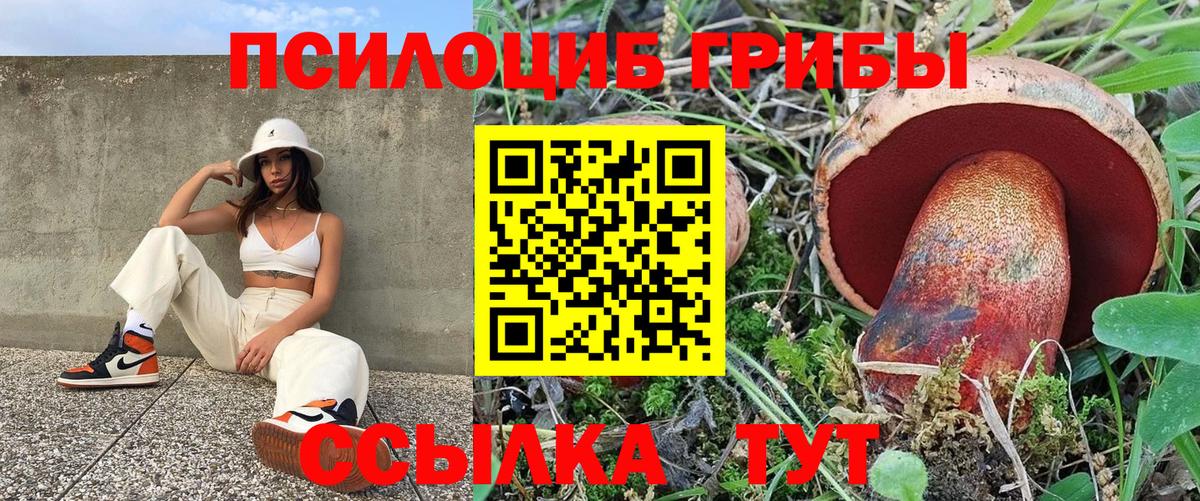 Галлюциногенные грибы мухоморы Саратов