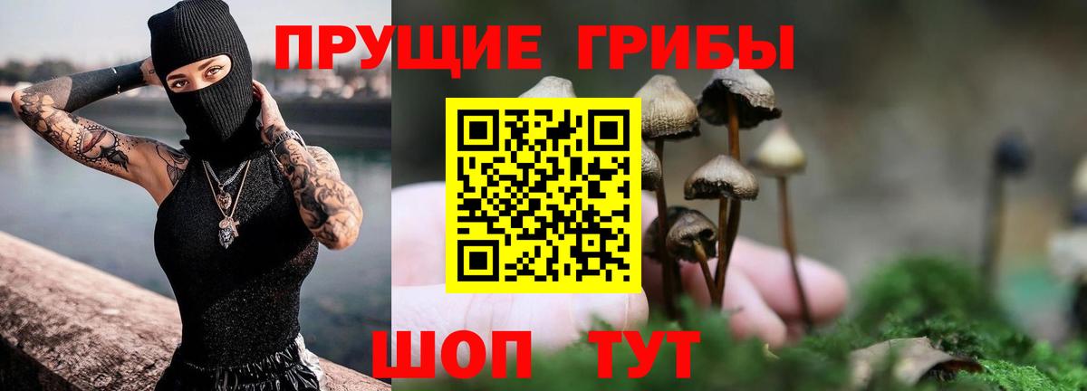 Псилоцибиновые грибы Cubensis  Галлюциногенные грибы Cubensis  Вход с VPN  Саратов 