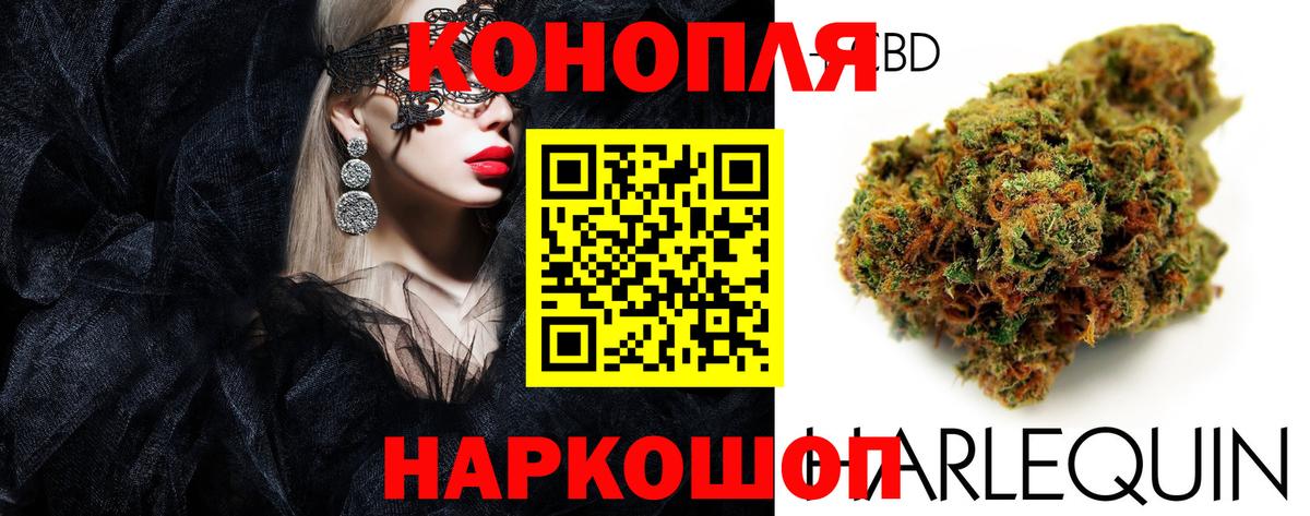 Конопля ГИДРОПОН  Каннабис White Widow  Канабис SATIVA & INDICA  Вход с VPN  Саратов 